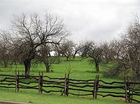 c1456 fence, field, trees 